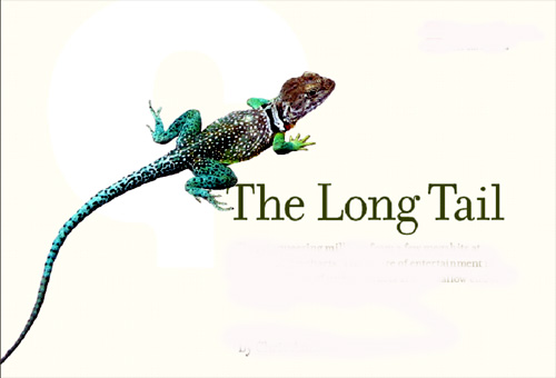 pozycjonowania long tail