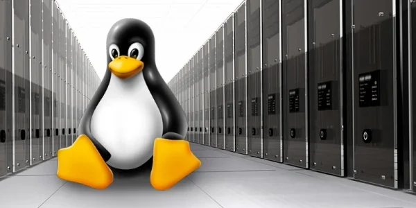 Standardowe usługi w Linux