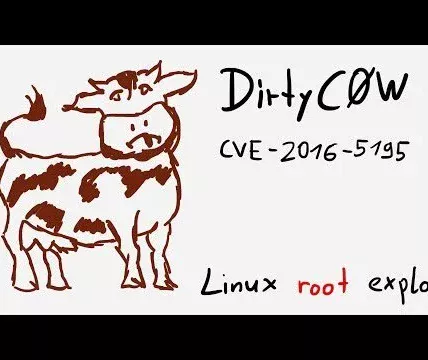Dirty COW (CVE-2016-5195) Linux Exploit
