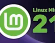 Linux Mint download