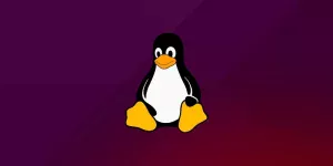 Podstawowe polecenia Linux