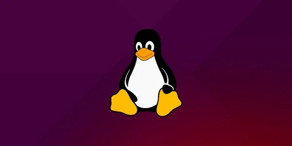 Podstawowe polecenia Linux