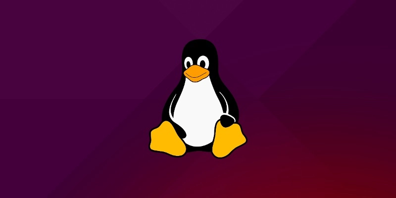 Podstawowe polecenia Linux