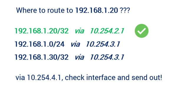 Routing dynamiczny w Linuxie