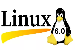 Linux jak sprawdzić IP