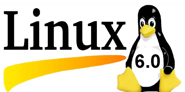 Linux jak sprawdzić IP