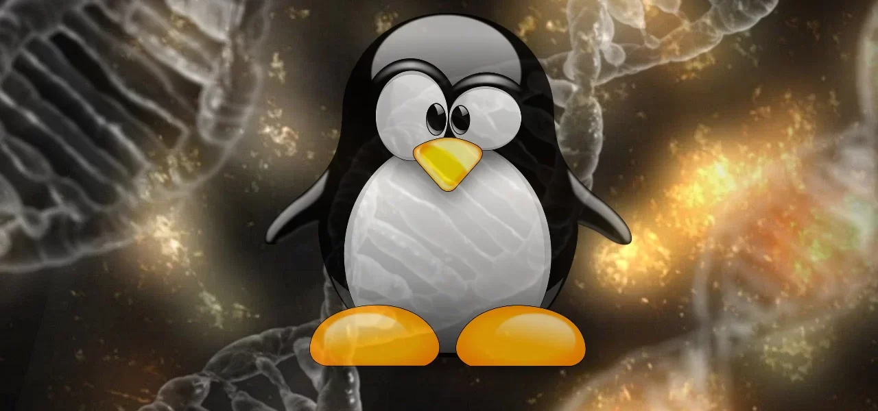 Jak podzielić dysk w systemie Linux
