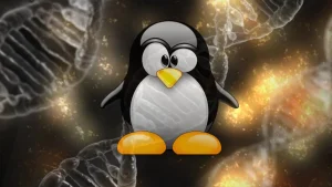 Jak podzielić dysk w systemie Linux