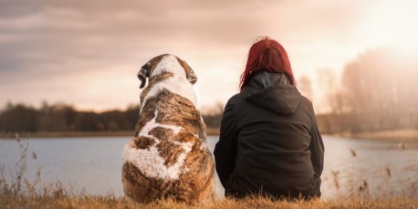 Z psem po Gdańsku - gdzie udać się na udany spacer?