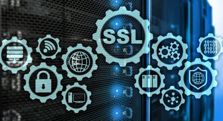 Certyfikaty SSL ważne rok