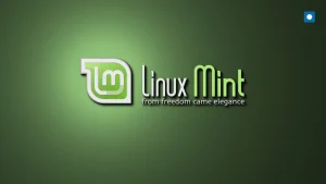 Linux Mint jako router dla sieci LAN: Konfiguracja masquerade