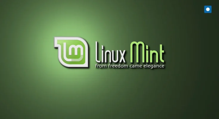 Linux Mint jako router dla sieci LAN: Konfiguracja masquerade