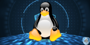 Linux porady na temat bezpieczeństwa systemu Linux