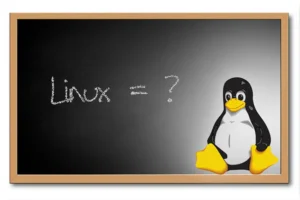 Linux w Środowisku Edukacyjnym: Zastosowanie w Szkolach i Uniwersytetach