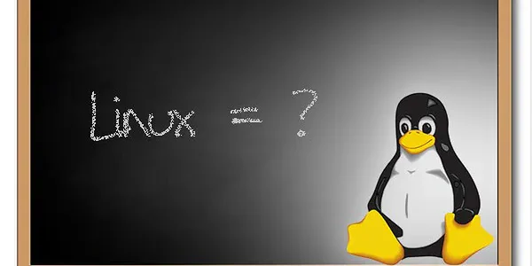 Linux w Środowisku Edukacyjnym: Zastosowanie w Szkolach i Uniwersytetach
