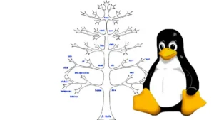 Przewodnik po Systemie Plików Linuxa: Hierarchia i Znaczenie Katalogów