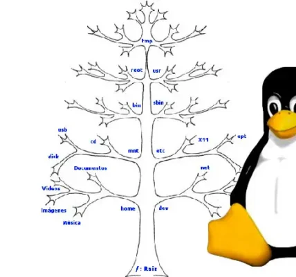Przewodnik po Systemie Plików Linuxa: Hierarchia i Znaczenie Katalogów