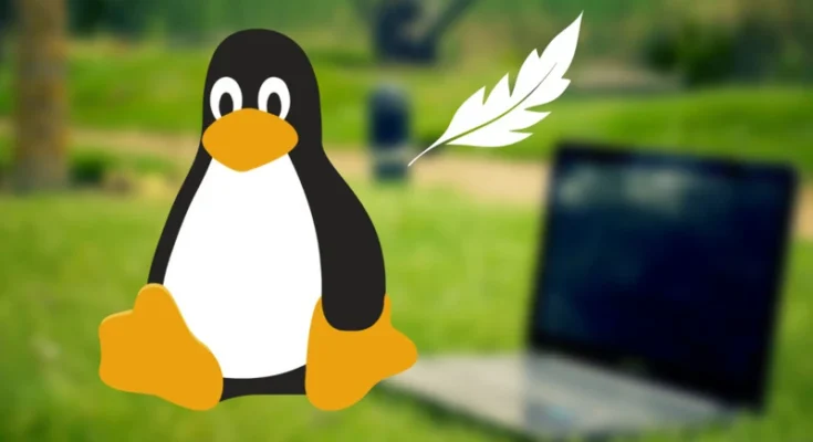 Dystrybucje Linuxa dla Starszych Komputerów: Optymalizacja Wydajności