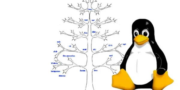 Przewodnik po Systemie Plików Linuxa: Hierarchia i Znaczenie Katalogów