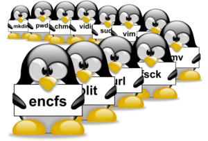 1000 przydatnych poleceń Linux