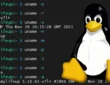 Jak użyć komendy uname w systemie Linux