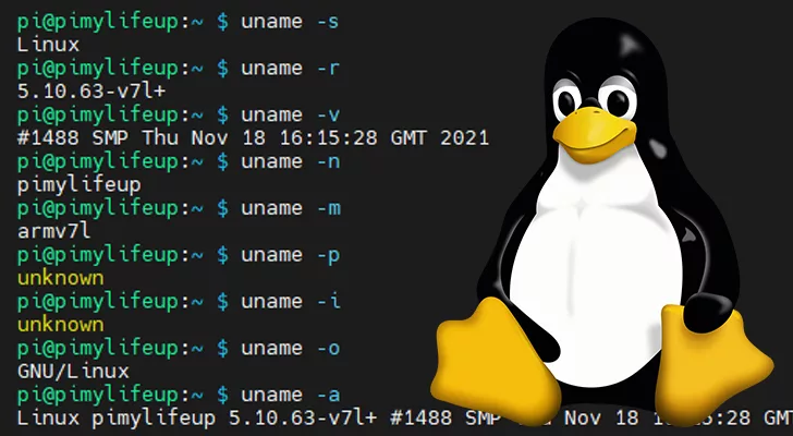 Jak użyć komendy uname w systemie Linux