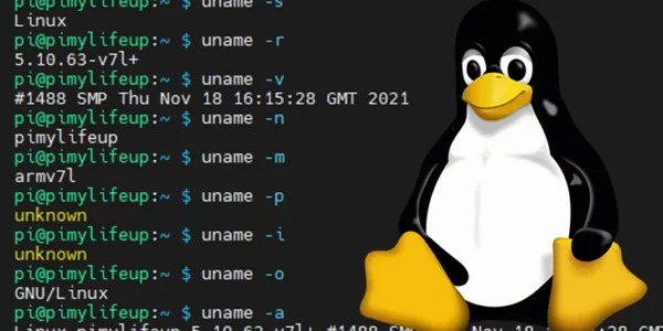 Jak użyć komendy uname w systemie Linux