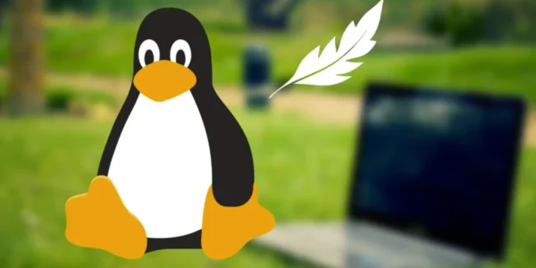 Lekki Linux na stary komputer