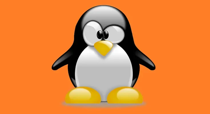 Jak zmienić hostname w systemie Linux