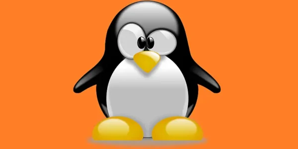 Jak zmienić hostname w systemie Linux