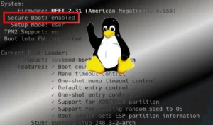 Poradnik włączania UEFI w Linux