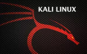 Jak zainstalować Kali Linux: Poradnik krok po kroku