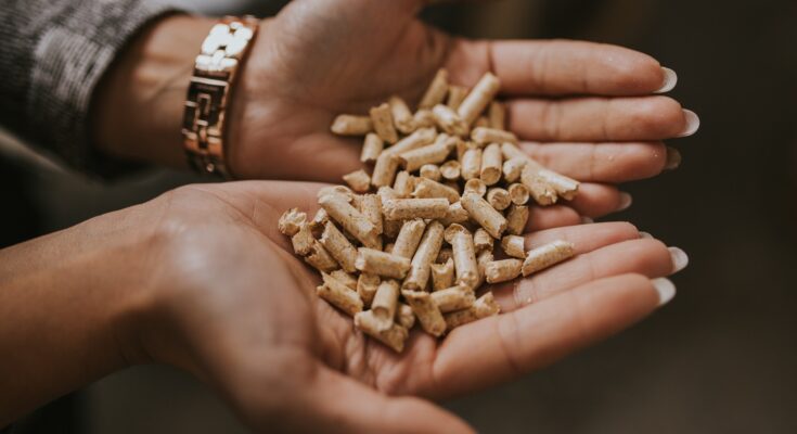 Od czego zależą ceny pelletu?