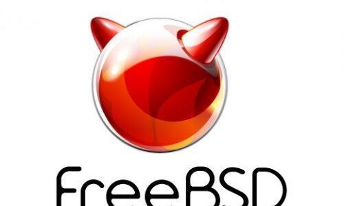 Konfiguracja sieci w FreeBSD