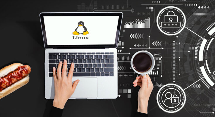 Zabezpieczanie usług sieciowych w systemie Linux: Poradnik dla użytkowników