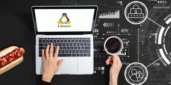 Zabezpieczanie usług sieciowych w systemie Linux: Poradnik dla użytkowników