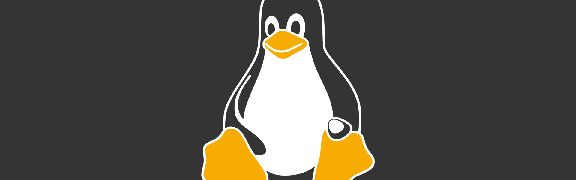 Konfiguracja usług sieciowych w systemie Linux: DHCP, DNS i SSH