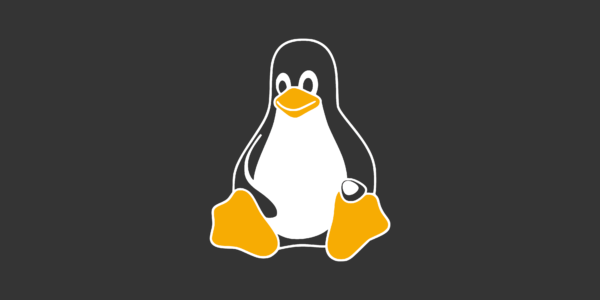 Konfiguracja usług sieciowych w systemie Linux: DHCP, DNS i SSH