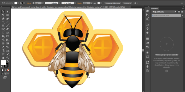 Programy do tworzenia i edycji grafiki wektorowej: Adobe Illustrator, Inkscape, CorelDRAW i inne