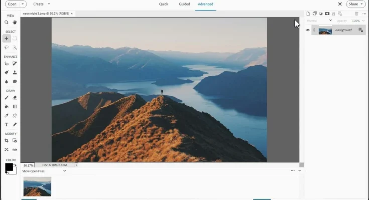 Programy do zarządzania zdjęciami: Adobe Lightroom, Picasa, Apple Photos i inne