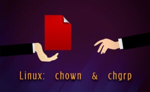 Ustawianie uprawnień do plików i katalogów w systemie Linux