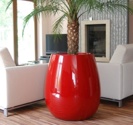 Duże donice do salonu