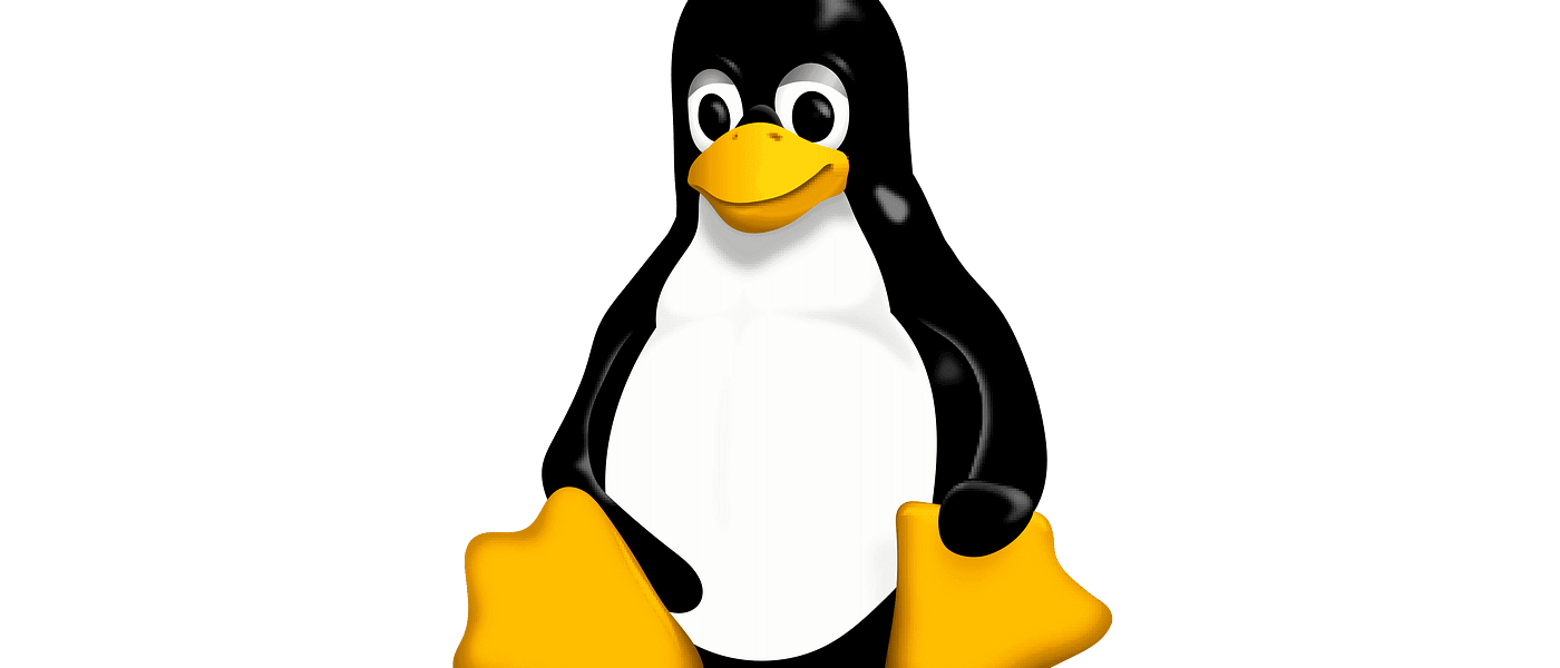 Jak zacząć przygodę z Linuksem? Przewodnik dla początkujących
