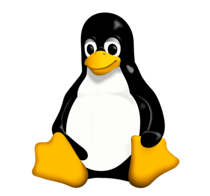 Jak zacząć przygodę z Linuksem? Przewodnik dla początkujących