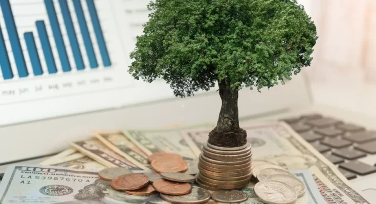 Jak zbudować portfel inwestycyjny na długoterminowy wzrost?