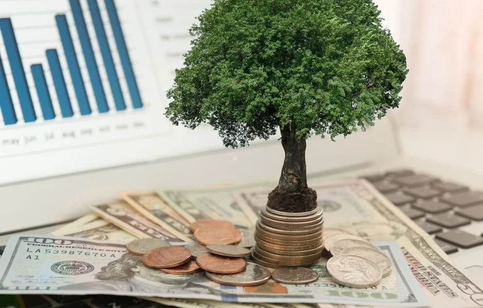 Jak zbudować portfel inwestycyjny na długoterminowy wzrost?