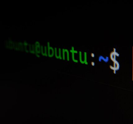 Badanie podatności w popularnych usługach sieciowych działających na Linuxie (SSH, Apache, Nginx)