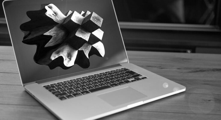 Fuzzing Aplikacji macOS: Techniki i Narzędzia