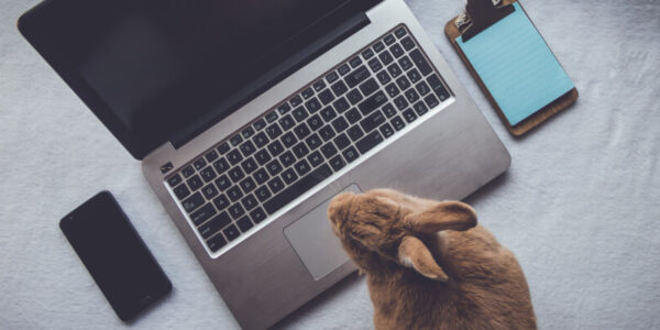 Pierwsze uruchomienie laptopa Lenovo z Windows 11: Kompletna instrukcja