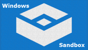 Problemy z kopiowaniem i wklejaniem między hostem a Sandboxem Windows 11